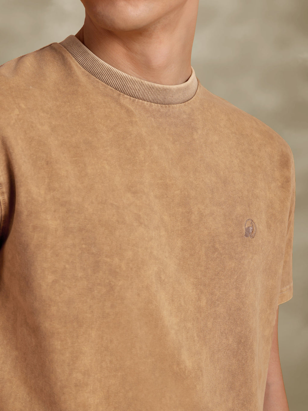 Faded Beige Regular Fit Cotton Tshirt With Embroidery Beige