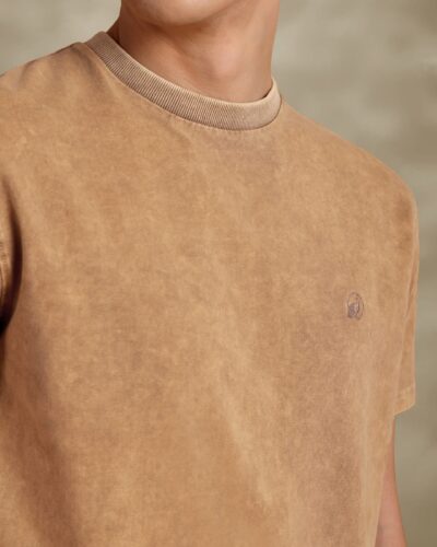 Faded Beige Regular Fit Cotton Tshirt With Embroidery